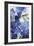 Cobalt Poppies III-Asia Jensen-Framed Art Print