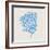 Cobalt Sea Fan-Albert Koetsier-Framed Photographic Print