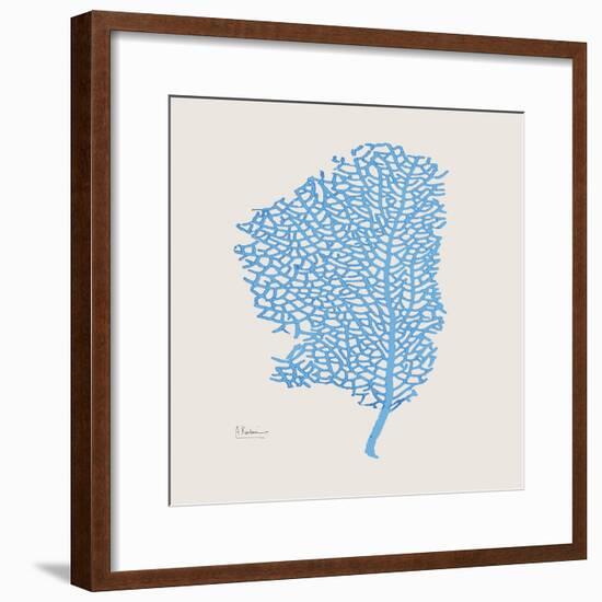 Cobalt Sea Fan-Albert Koetsier-Framed Photographic Print