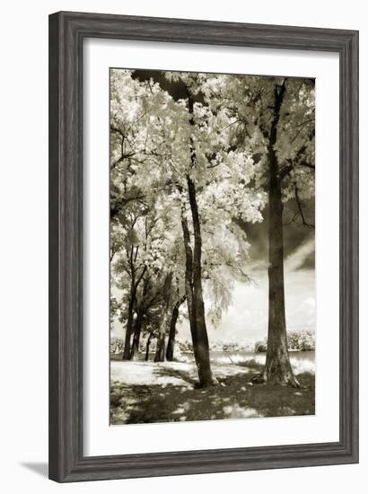 Cobb Island IV-Alan Hausenflock-Framed Photographic Print