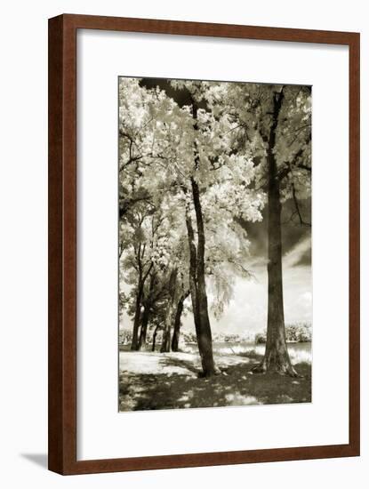 Cobb Island IV-Alan Hausenflock-Framed Photographic Print