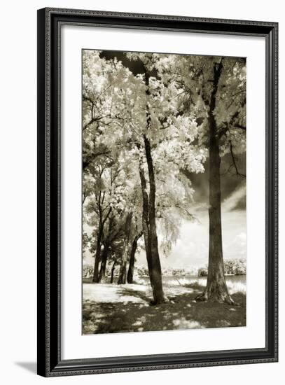 Cobb Island IV-Alan Hausenflock-Framed Photographic Print