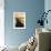Cobb Island Sunrise II-Alan Hausenflock-Framed Photographic Print displayed on a wall