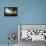 Cobb Island Sunrise IV-Alan Hausenflock-Framed Premier Image Canvas displayed on a wall