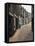 Cobbled Side Street in Otley, Yorkshire, England, United Kingdom, Europe-Nigel Blythe-Framed Premier Image Canvas