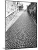 Cobbled Street, Lindenhof, Switzerland-Walter Bibikow-Mounted Photographic Print