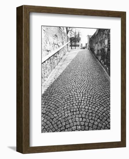 Cobbled Street, Lindenhof, Switzerland-Walter Bibikow-Framed Photographic Print