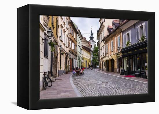 Cobbled Street, Ljubljana, Slovenia, Europe-Matthew Williams-Ellis-Framed Premier Image Canvas