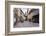 Cobbled Street, Ljubljana, Slovenia, Europe-Matthew Williams-Ellis-Framed Photographic Print