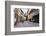 Cobbled Street, Ljubljana, Slovenia, Europe-Matthew Williams-Ellis-Framed Photographic Print