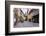 Cobbled Street, Ljubljana, Slovenia, Europe-Matthew Williams-Ellis-Framed Photographic Print