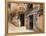 Cobblestone Steps in Hillside Neighborhood, Guanajuato, Mexico-Julie Eggers-Framed Premier Image Canvas