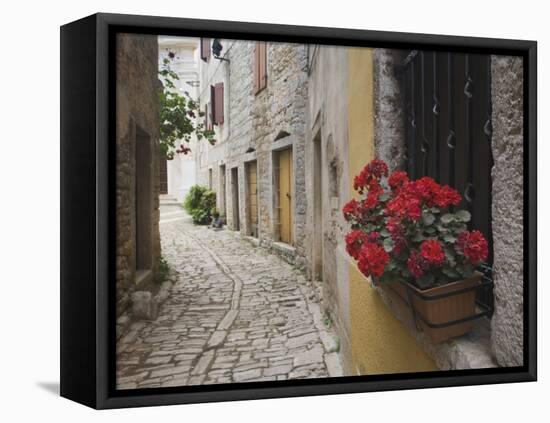 Cobblestone Street and Geraniums, Bale, Croatia-Adam Jones-Framed Premier Image Canvas
