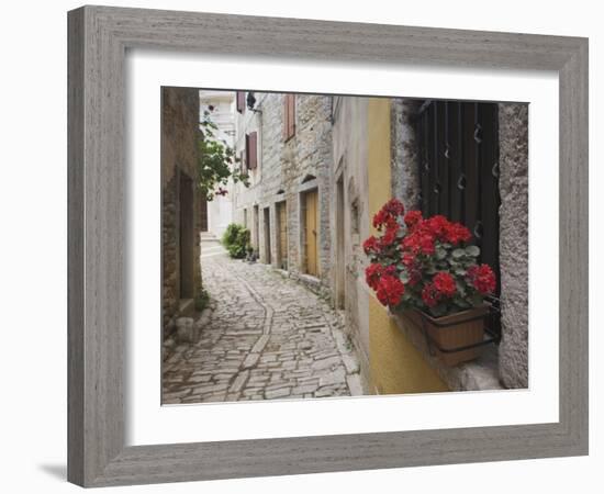 Cobblestone Street and Geraniums, Bale, Croatia-Adam Jones-Framed Photographic Print