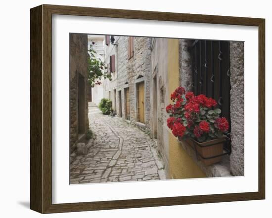 Cobblestone Street and Geraniums, Bale, Croatia-Adam Jones-Framed Photographic Print