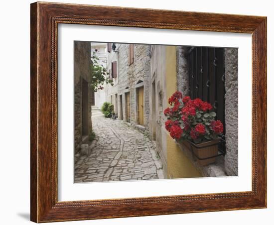 Cobblestone Street and Geraniums, Bale, Croatia-Adam Jones-Framed Photographic Print