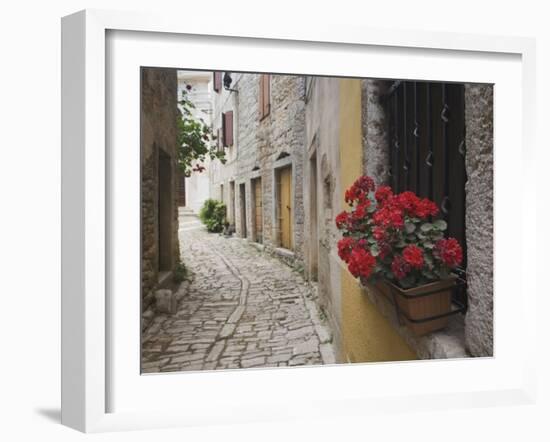 Cobblestone Street and Geraniums, Bale, Croatia-Adam Jones-Framed Photographic Print