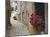 Cobblestone Street and Geraniums, Bale, Croatia-Adam Jones-Mounted Photographic Print