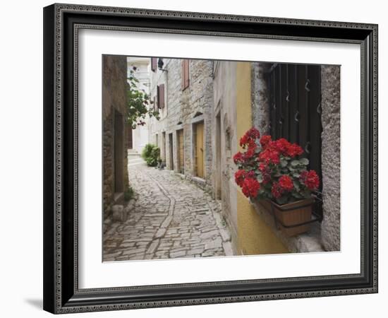 Cobblestone Street and Geraniums, Bale, Croatia-Adam Jones-Framed Photographic Print