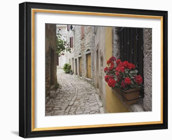 Cobblestone Street and Geraniums, Bale, Croatia-Adam Jones-Framed Photographic Print