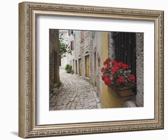 Cobblestone Street and Geraniums, Bale, Croatia-Adam Jones-Framed Photographic Print