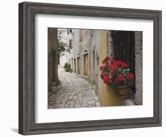 Cobblestone Street and Geraniums, Bale, Croatia-Adam Jones-Framed Photographic Print