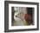 Cobblestone Street and Geraniums, Bale, Croatia-Adam Jones-Framed Photographic Print