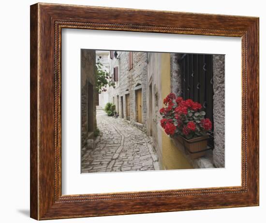 Cobblestone Street and Geraniums, Bale, Croatia-Adam Jones-Framed Photographic Print