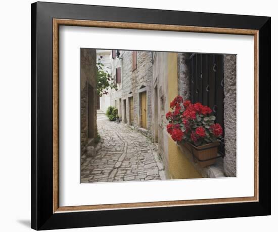 Cobblestone Street and Geraniums, Bale, Croatia-Adam Jones-Framed Photographic Print