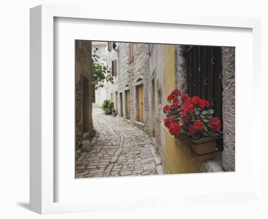 Cobblestone Street and Geraniums, Bale, Croatia-Adam Jones-Framed Photographic Print