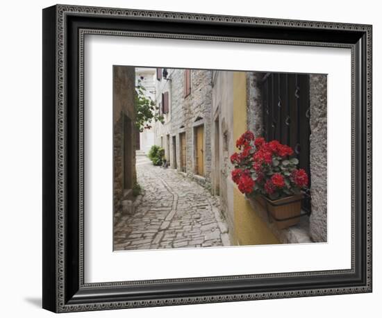 Cobblestone Street and Geraniums, Bale, Croatia-Adam Jones-Framed Photographic Print