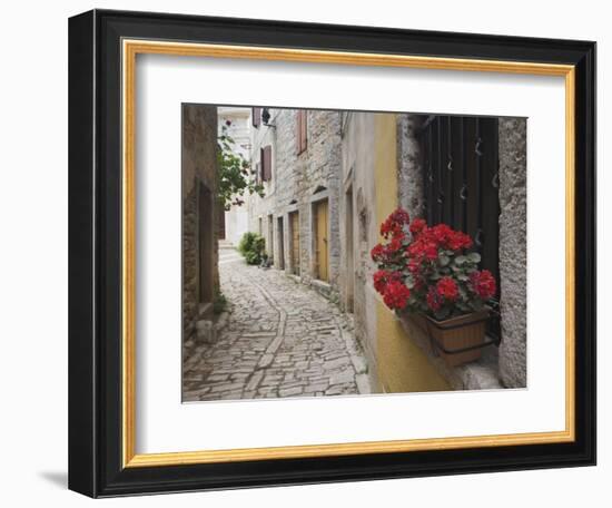 Cobblestone Street and Geraniums, Bale, Croatia-Adam Jones-Framed Photographic Print