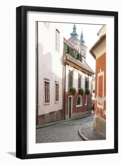 Cobblestone Street and Narrow Buildings with Church Towers in Background, Eger, Hungary-Kimberly Walker-Framed Photographic Print