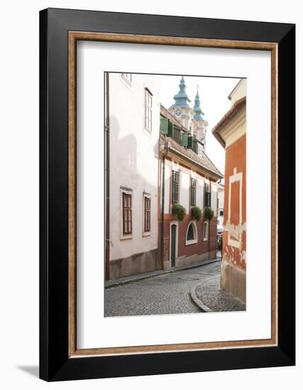 Cobblestone Street and Narrow Buildings with Church Towers in Background, Eger, Hungary-Kimberly Walker-Framed Photographic Print