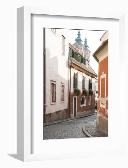 Cobblestone Street and Narrow Buildings with Church Towers in Background, Eger, Hungary-Kimberly Walker-Framed Photographic Print