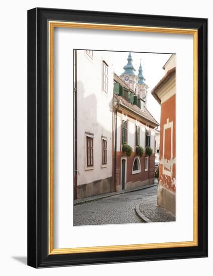 Cobblestone Street and Narrow Buildings with Church Towers in Background, Eger, Hungary-Kimberly Walker-Framed Photographic Print