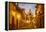 Cobblestones of Aldama Street, San Miguel De Allende, Mexico-Chuck Haney-Framed Premier Image Canvas