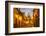 Cobblestones of Aldama Street, San Miguel De Allende, Mexico-Chuck Haney-Framed Photographic Print