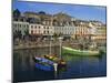 Cobh Harbour, County Cork, Munster, Republic of Ireland (Eire), Europe-Roy Rainford-Mounted Photographic Print