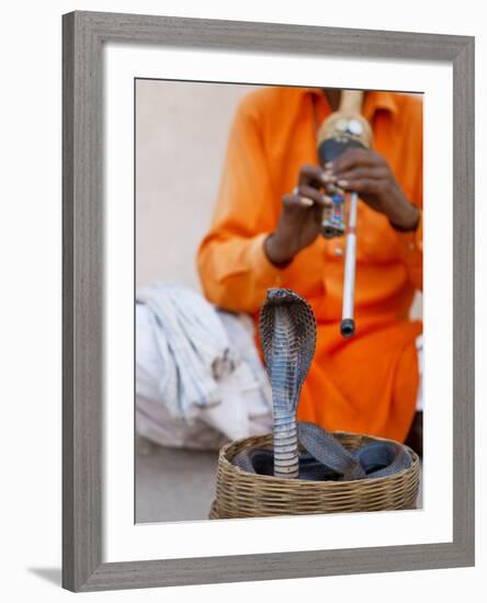 Cobra Snake Charmer Outside the City Palace, Jaipur, Rajasthan, India, Asia-Gavin Hellier-Framed Photographic Print