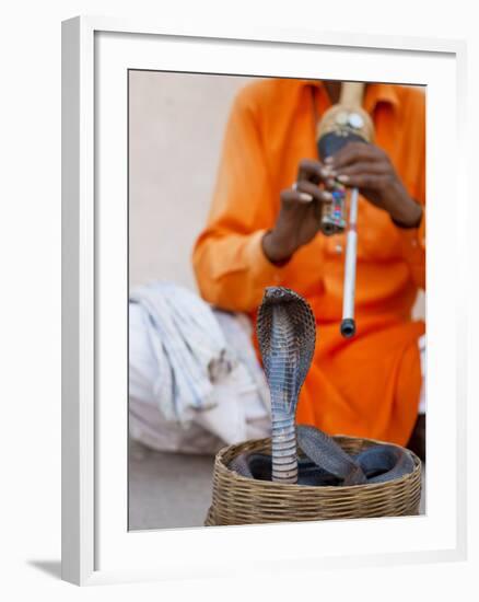 Cobra Snake Charmer Outside the City Palace, Jaipur, Rajasthan, India, Asia-Gavin Hellier-Framed Photographic Print