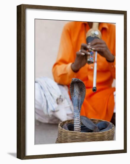 Cobra Snake Charmer Outside the City Palace, Jaipur, Rajasthan, India, Asia-Gavin Hellier-Framed Photographic Print