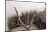 Cobweb, Dewdrops-Roland T.-Mounted Photographic Print