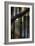 Cobwebs on Stairway-Nathan Wright-Framed Photographic Print