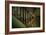 Cobwebs on Stairway-Nathan Wright-Framed Photographic Print