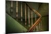 Cobwebs on Stairway-Nathan Wright-Mounted Photographic Print