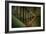 Cobwebs on Stairway-Nathan Wright-Framed Photographic Print