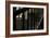 Cobwebs on Stairway-Nathan Wright-Framed Photographic Print