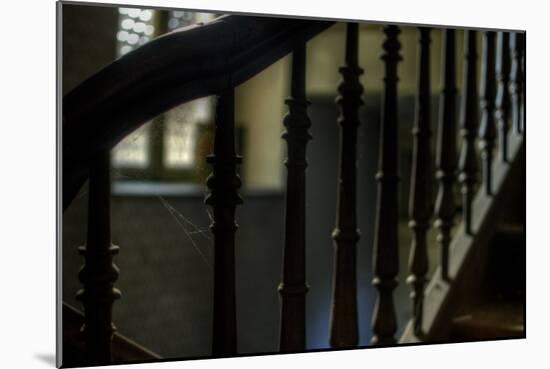 Cobwebs on Stairway-Nathan Wright-Mounted Photographic Print