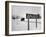 Coca Cola Road Sign on Autobahn Between Munich and Salzburg with Jep Driving-Walter Sanders-Framed Photographic Print